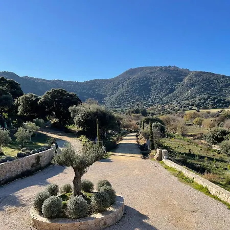 Casa Di L'alivi *