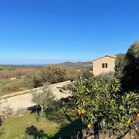 Villa Casa Di L'alivi