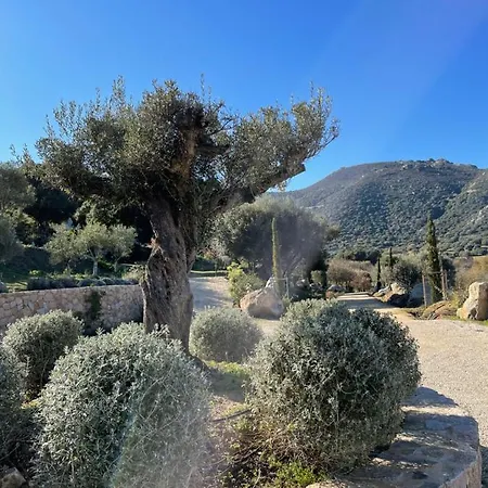 Villa Casa Di L'alivi *
