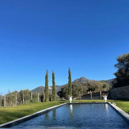 Villa Casa Di L'alivi